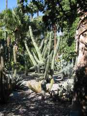 MAROC_03_12-36