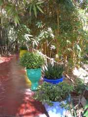 MAROC_03_12-37