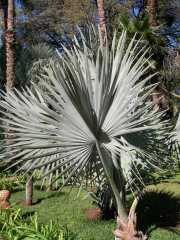 MAROC_03_12-4