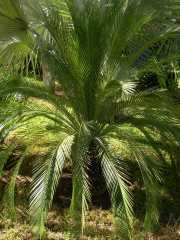 MAROC_03_12-5