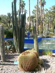 MAROC_03_12-9
