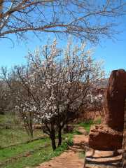 MAROC_03_06-46