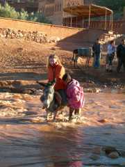 MAROC_03_06-96