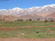 MAROC_03_10-5