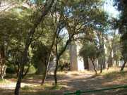 DSCN1835