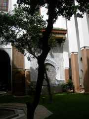 DSCN1877