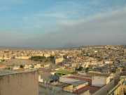 DSCN1894