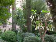 DSCN1905