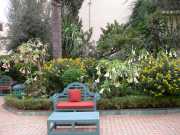 DSCN1917