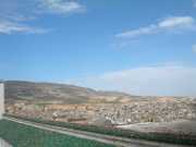 DSCN1962