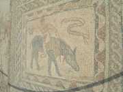 DSCN2002