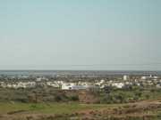 DSCN1381