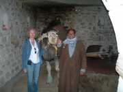 DSCN1384