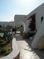 DSCN1395