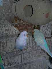 DSCN1401