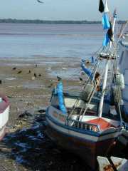 BRESIL_5_BELEM-13