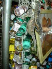 BRESIL_5_BELEM-8