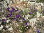 VIS_08_Avril-15