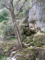 VIS_08_Avril-43