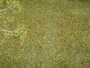 VIS_08_Avril-48