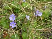 VIS_08_Avril-50