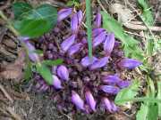 VIS_08_Avril-54