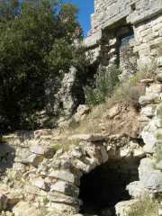 HORTUS_08_02-10