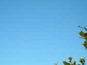 HORTUS_08_02-14