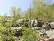 NINO_16_Mai-13