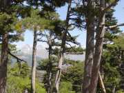 NINO_16_Mai-9