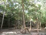 Vietnam_Cambodge_b-794