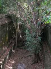 Vietnam_Cambodge_b-806