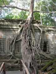 Vietnam_Cambodge_b-809