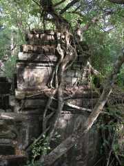 Vietnam_Cambodge_b-817