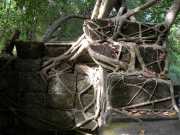 Vietnam_Cambodge_b-818