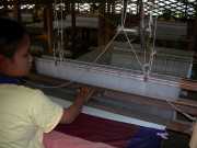 Vietnam_Cambodge_b-896