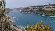 Bonifacio_24_04-76