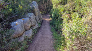 Tizzano_24_04-106