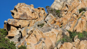 Tizzano_24_04-141
