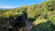 Tizzano_24_04-142