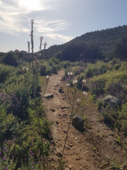 Tizzano_24_04-50