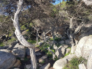 Tizzano_24_04-57