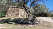 Saleccia_24_04-136