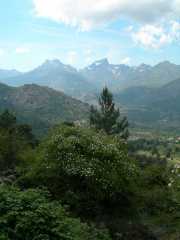 CALACUCCIA_10_Juin-21