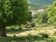 CALACUCCIA_10_Juin-25