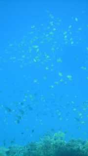 DSCN6199