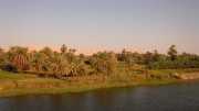 DSCN5669