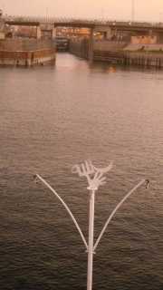 DSCN5710
