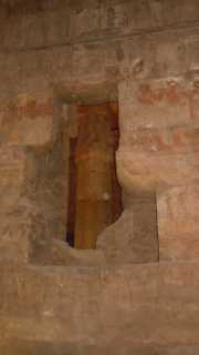 DSCN5981