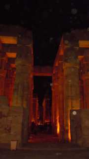 DSCN5983